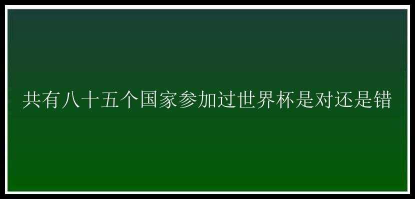 共有八十五个国家参加过世界杯是对还是错