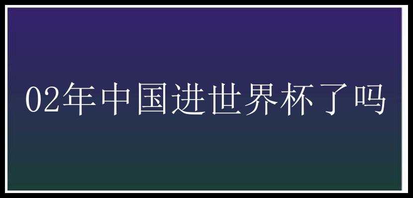 02年中国进世界杯了吗