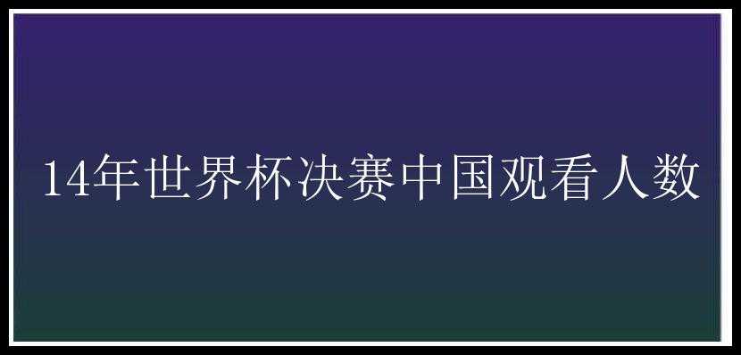 14年世界杯决赛中国观看人数