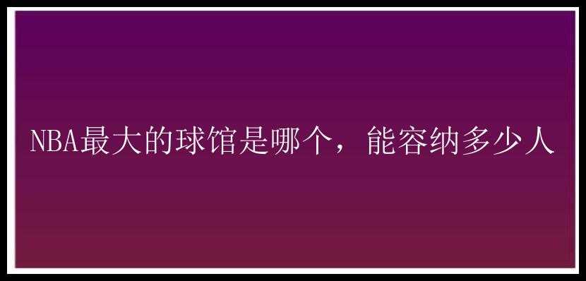 NBA最大的球馆是哪个，能容纳多少人