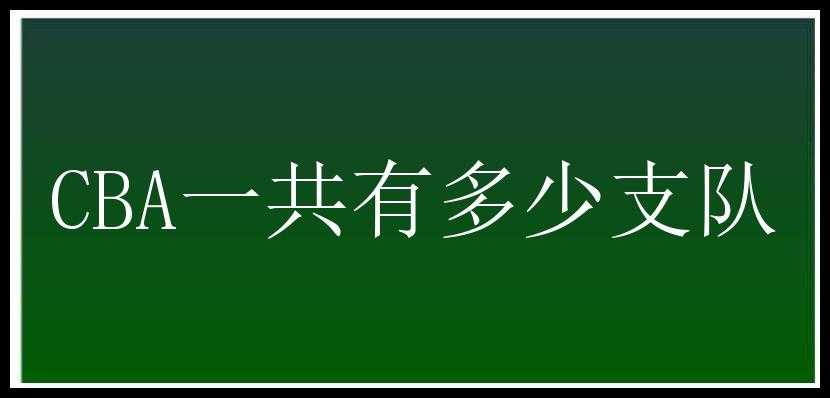 CBA一共有多少支队