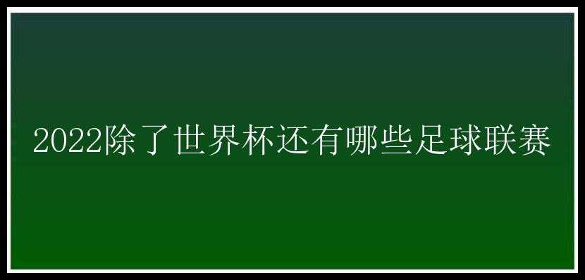 2022除了世界杯还有哪些足球联赛