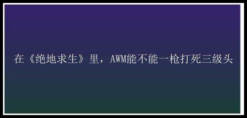 在《绝地求生》里，AWM能不能一枪打死三级头