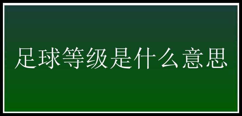 足球等级是什么意思