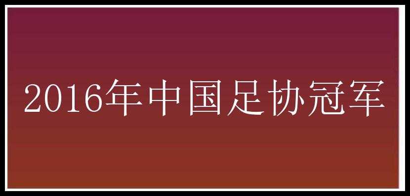 2016年中国足协冠军