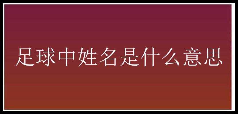 足球中姓名是什么意思