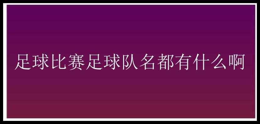 足球比赛足球队名都有什么啊