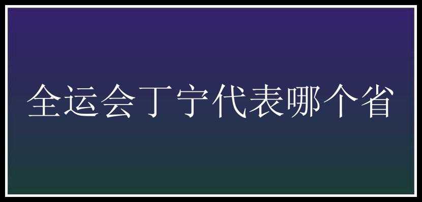 全运会丁宁代表哪个省