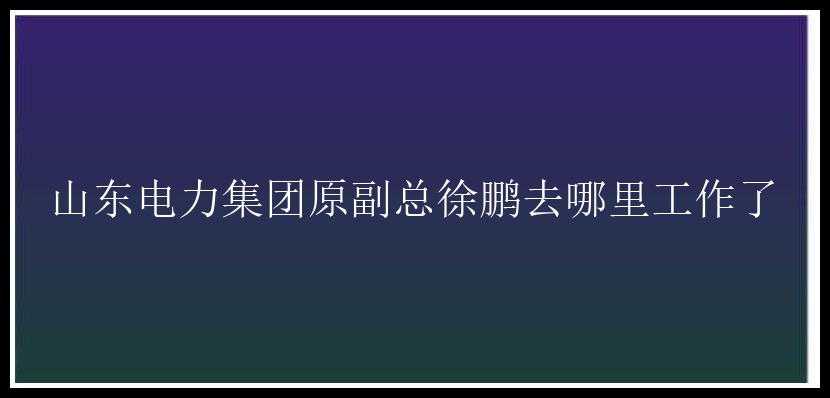 山东电力集团原副总徐鹏去哪里工作了