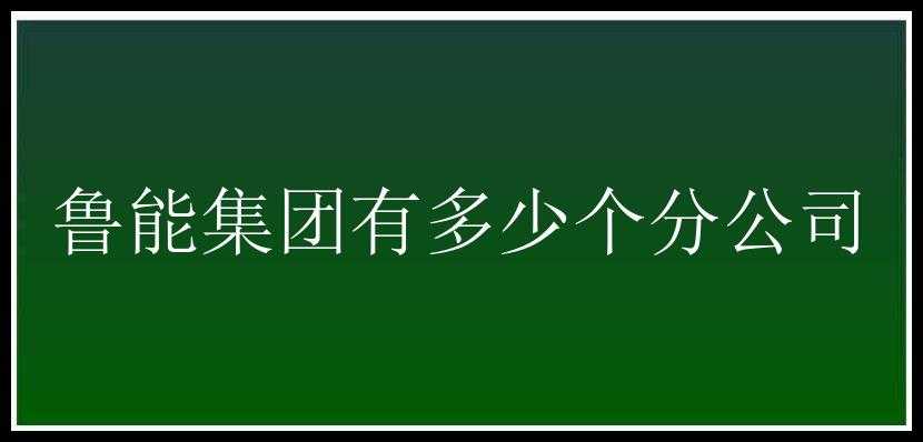 鲁能集团有多少个分公司