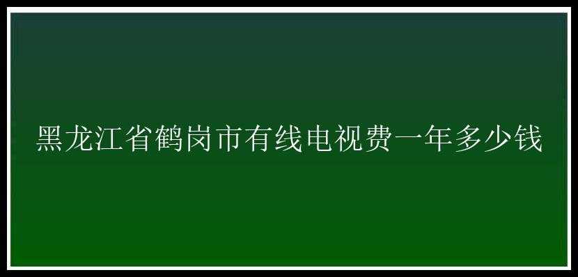 黑龙江省鹤岗市有线电视费一年多少钱