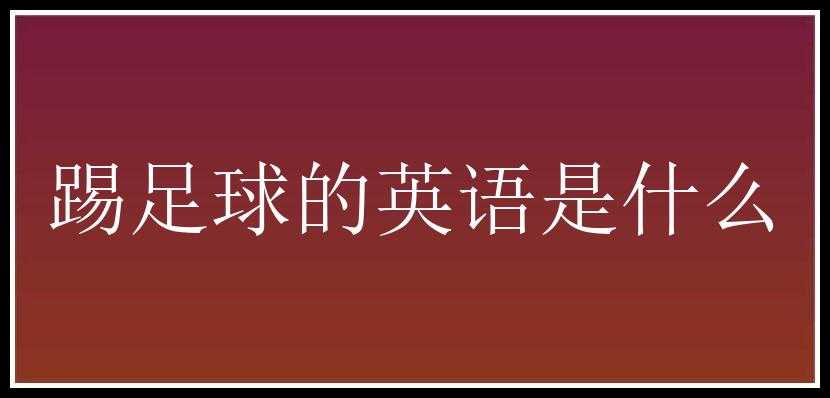 踢足球的英语是什么