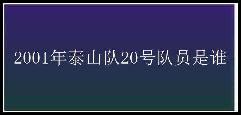 2001年泰山队20号队员是谁