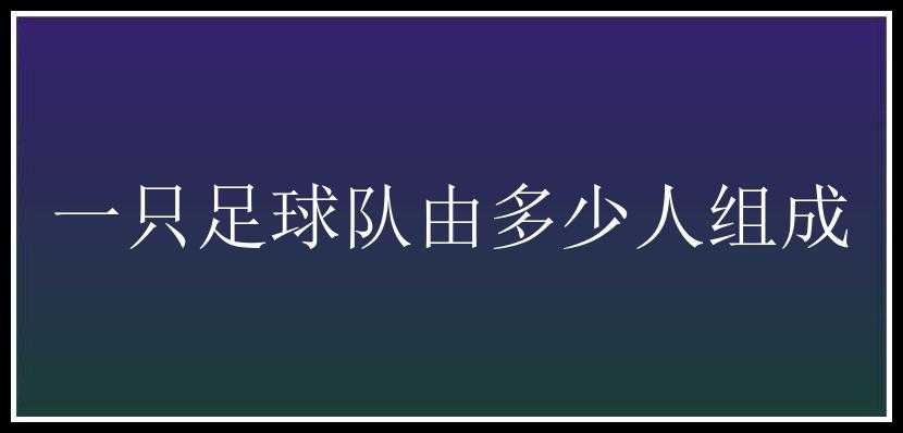 一只足球队由多少人组成