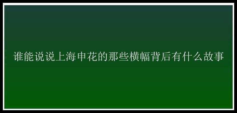 谁能说说上海申花的那些横幅背后有什么故事