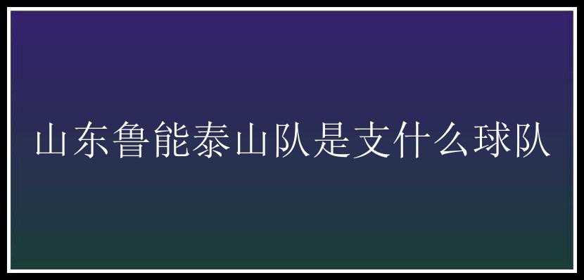 山东鲁能泰山队是支什么球队