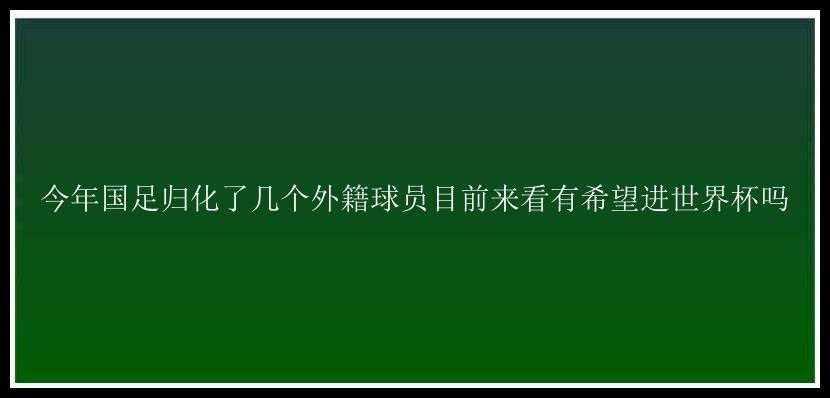 今年国足归化了几个外籍球员目前来看有希望进世界杯吗