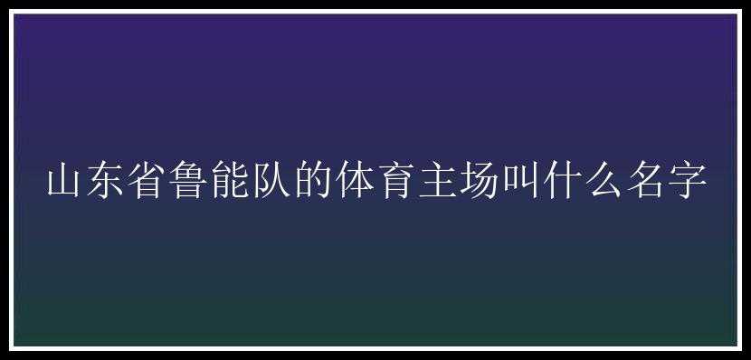 山东省鲁能队的体育主场叫什么名字