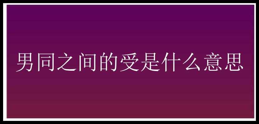 男同之间的受是什么意思