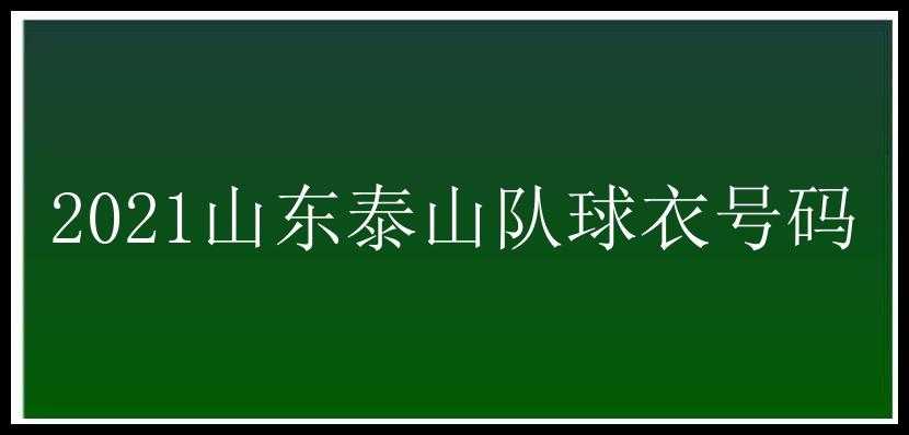 2021山东泰山队球衣号码