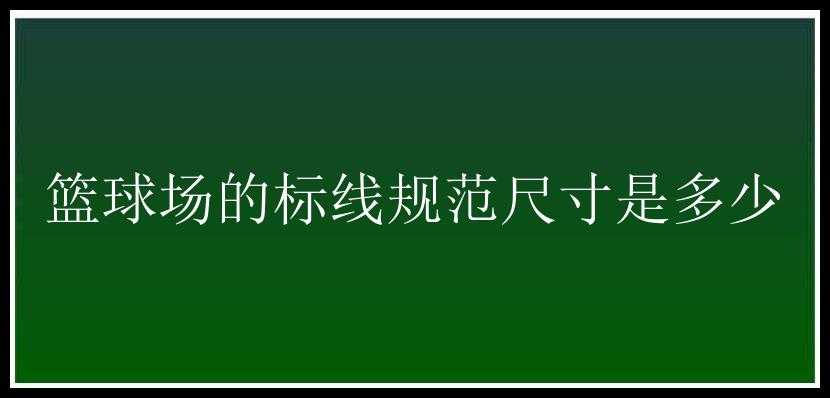 篮球场的标线规范尺寸是多少