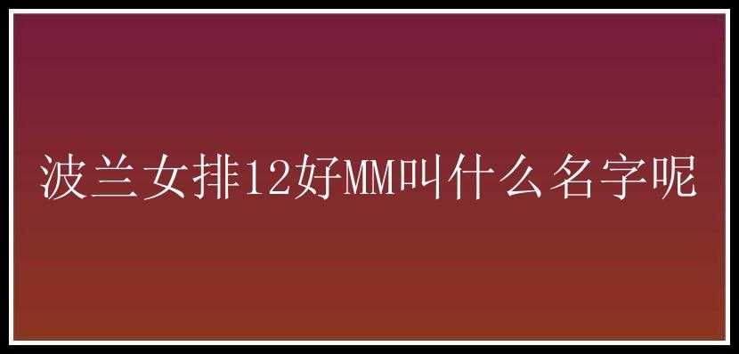 波兰女排12好MM叫什么名字呢