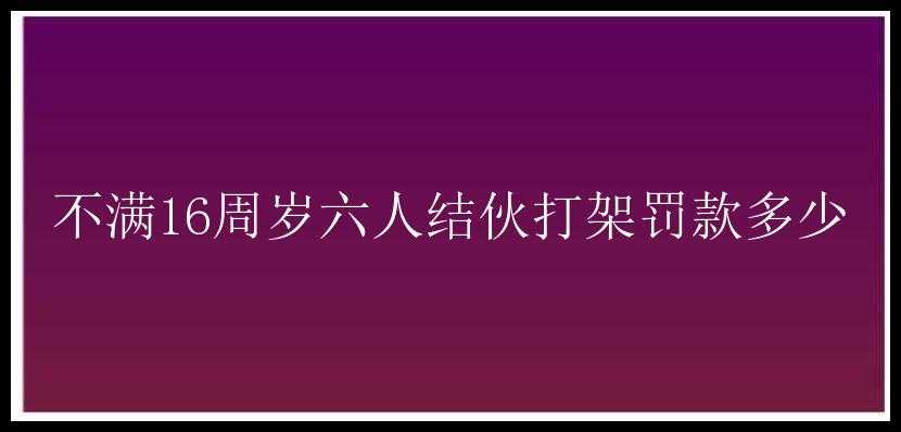 不满16周岁六人结伙打架罚款多少