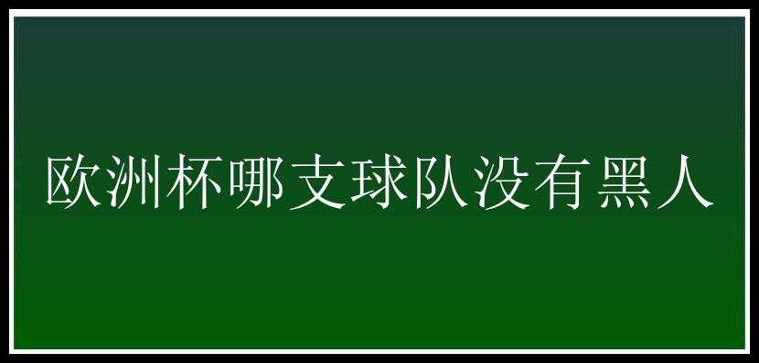 欧洲杯哪支球队没有黑人