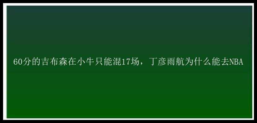 60分的吉布森在小牛只能混17场，丁彦雨航为什么能去NBA