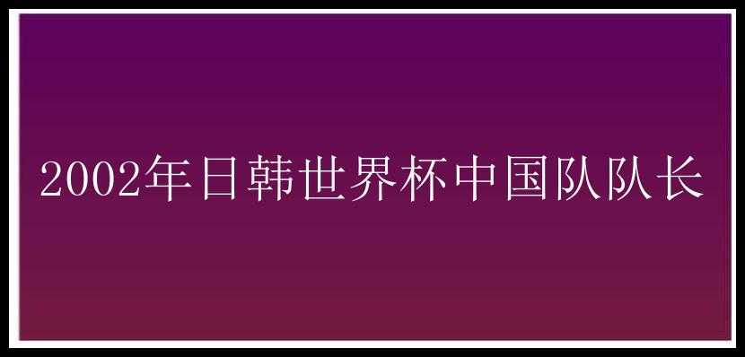 2002年日韩世界杯中国队队长