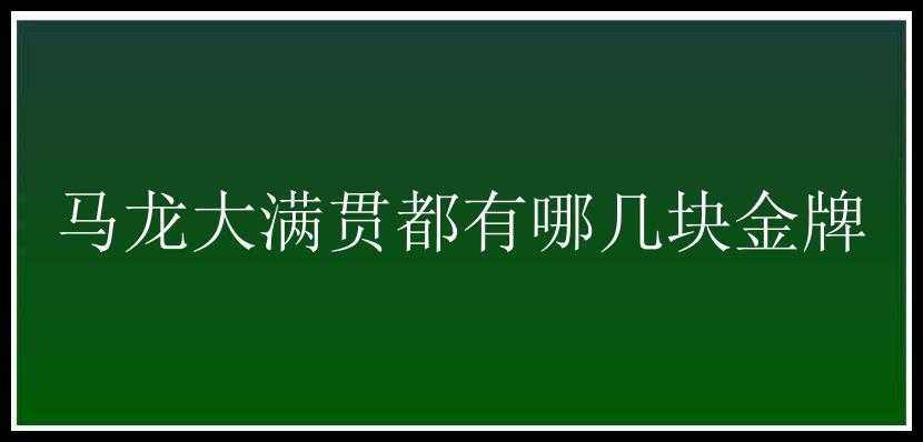 马龙大满贯都有哪几块金牌