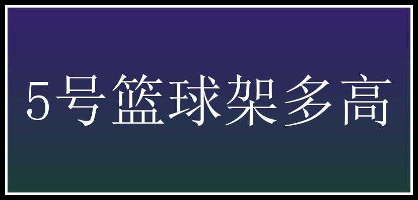 5号篮球架多高