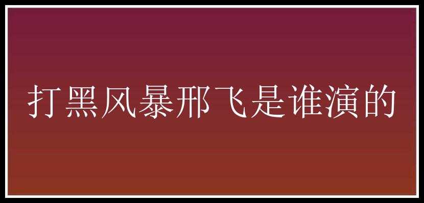 打黑风暴邢飞是谁演的