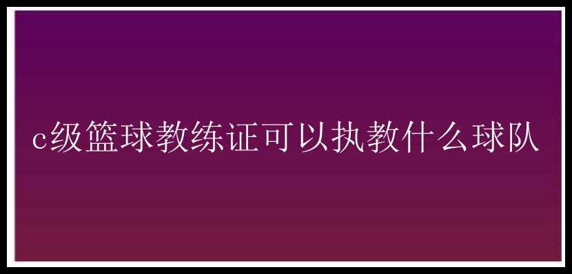 c级篮球教练证可以执教什么球队