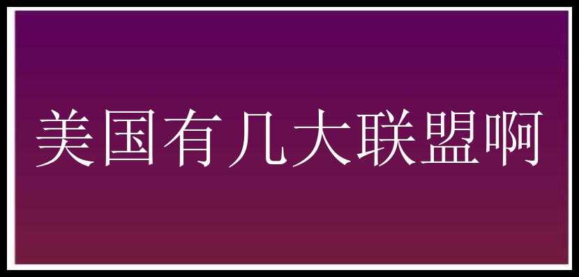 美国有几大联盟啊