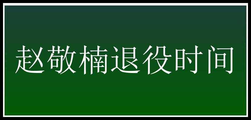 赵敬楠退役时间