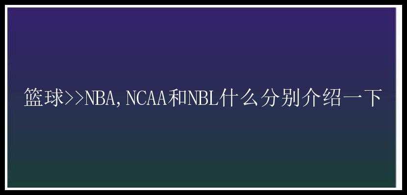 篮球>>NBA,NCAA和NBL什么分别介绍一下