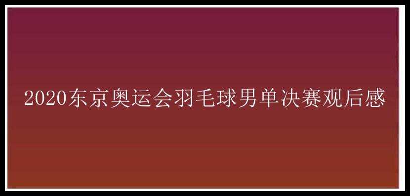 2020东京奥运会羽毛球男单决赛观后感