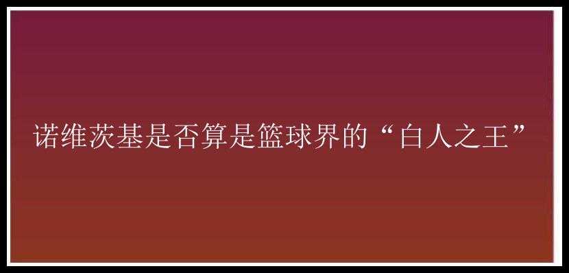 诺维茨基是否算是篮球界的“白人之王”