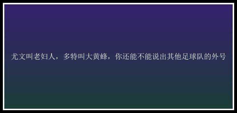 尤文叫老妇人，多特叫大黄蜂，你还能不能说出其他足球队的外号