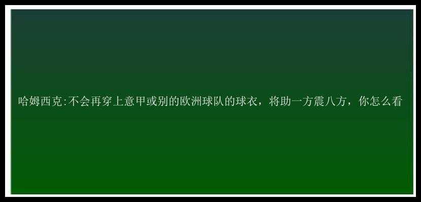 哈姆西克:不会再穿上意甲或别的欧洲球队的球衣，将助一方震八方，你怎么看