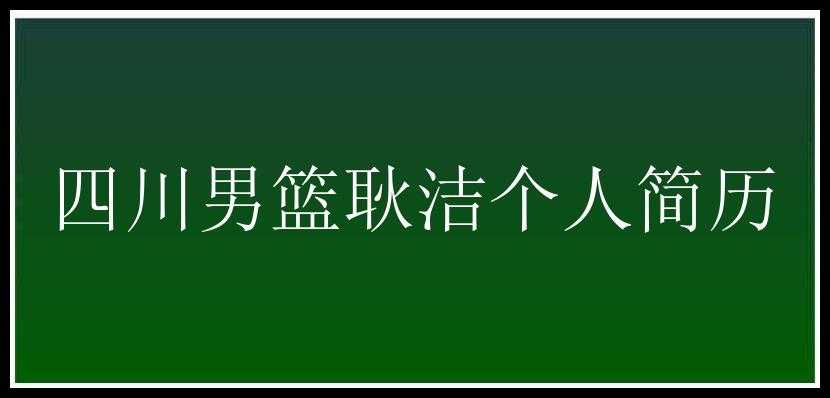 四川男篮耿洁个人简历