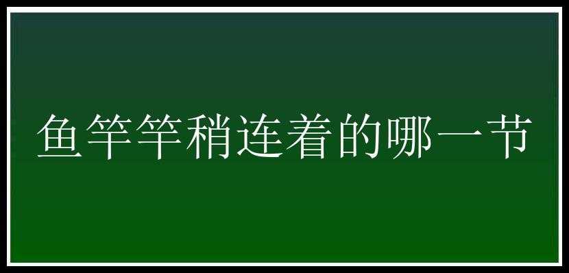 鱼竿竿稍连着的哪一节