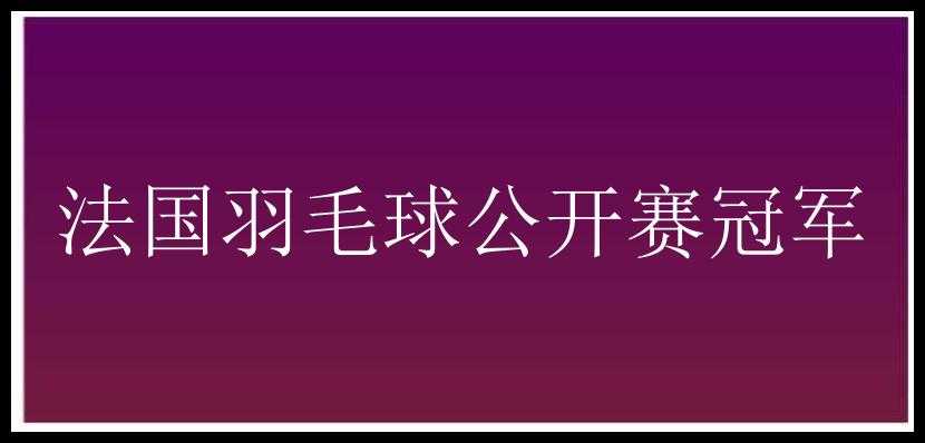 法国羽毛球公开赛冠军