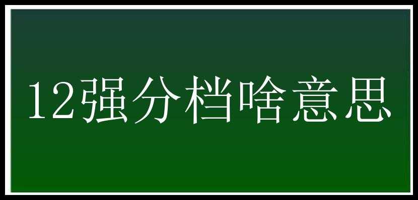 12强分档啥意思