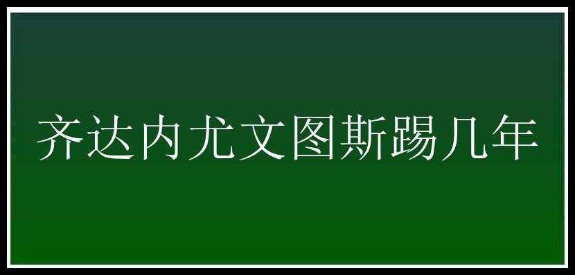 齐达内尤文图斯踢几年