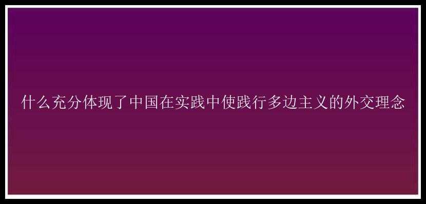 什么充分体现了中国在实践中使践行多边主义的外交理念