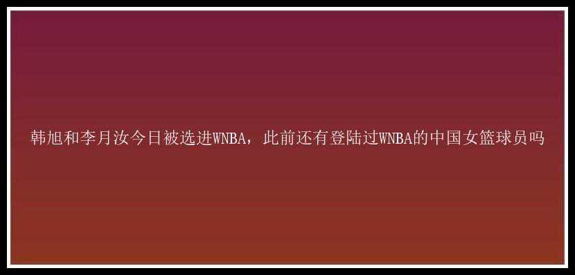 韩旭和李月汝今日被选进WNBA，此前还有登陆过WNBA的中国女篮球员吗