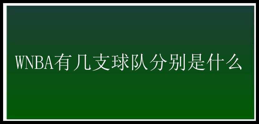 WNBA有几支球队分别是什么