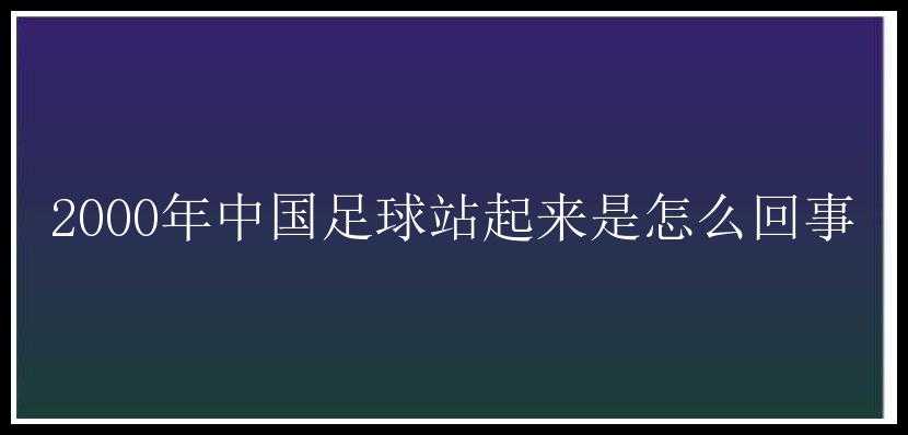 2000年中国足球站起来是怎么回事